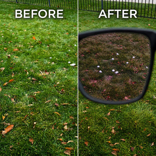 UV Polarized Golf Sunglasses